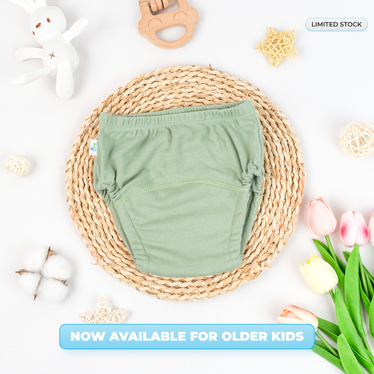 Potty Training Underwear (Big Kid Sizes)