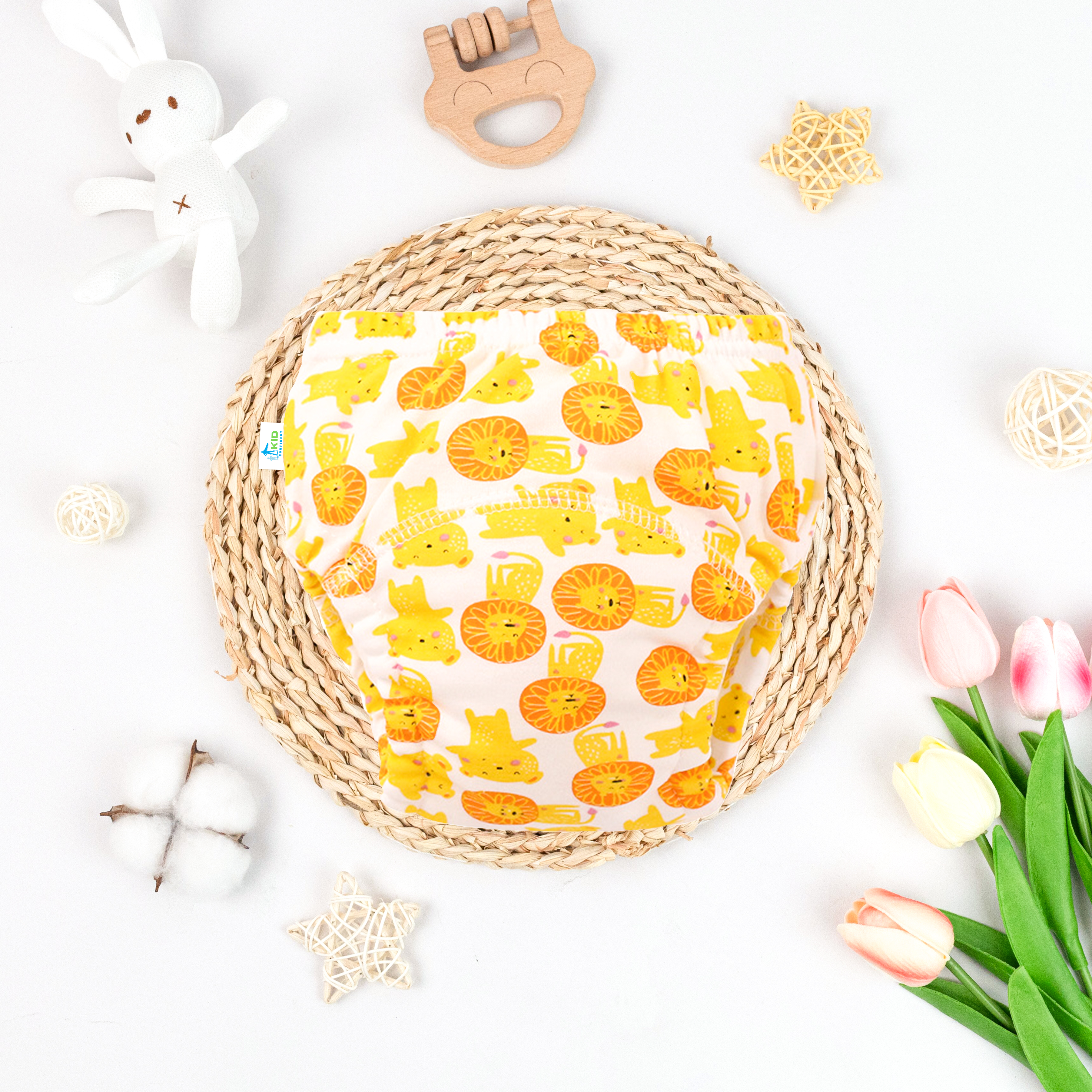 Potty Training Underwear